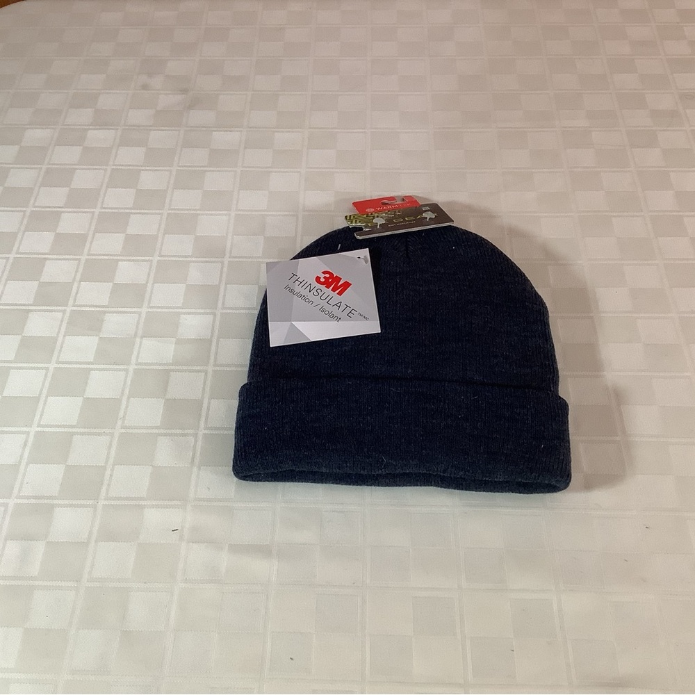 3M Thinsulate Blue Cuffed Knit Hat